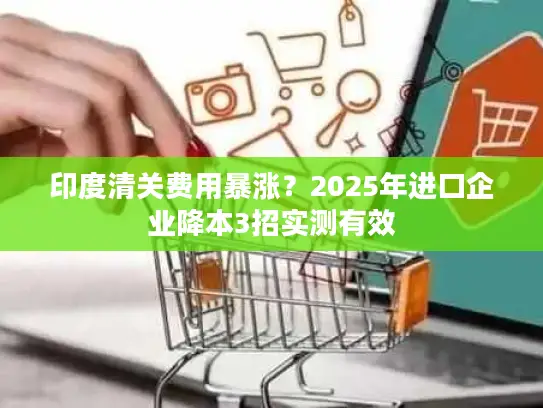 印度清关费用暴涨？2025年进口企业降本3招实测有效