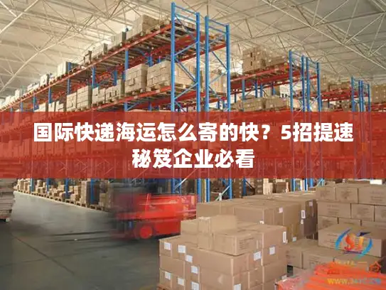 国际快递海运怎么寄的快？5招提速秘笈企业必看