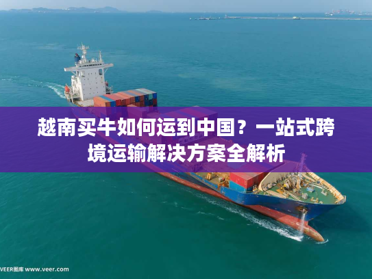 越南买牛如何运到中国？一站式跨境运输解决方案全解析