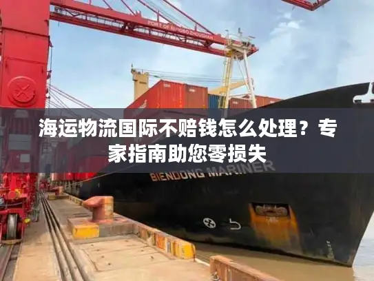 海运物流国际不赔钱怎么处理？专家指南助您零损失