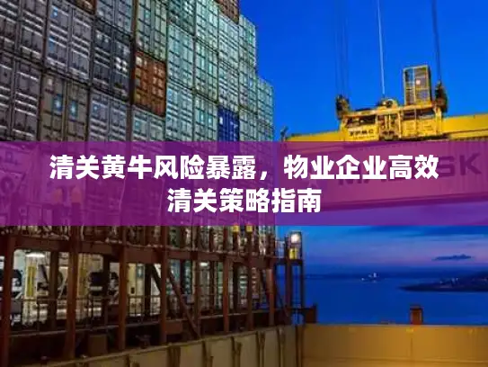 清关黄牛风险暴露，物业企业高效清关策略指南