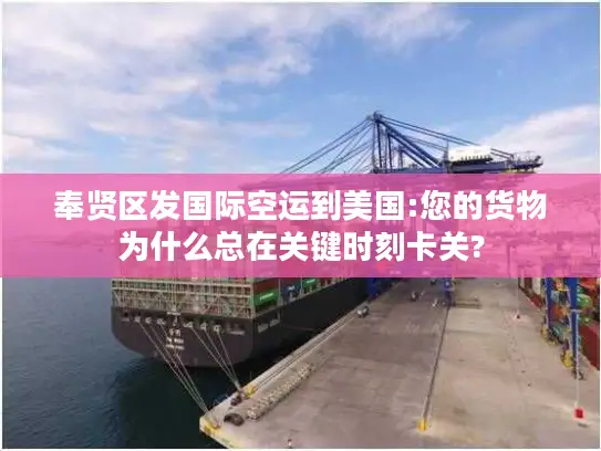 奉贤区发国际空运到美国:您的货物为什么总在关键时刻卡关?