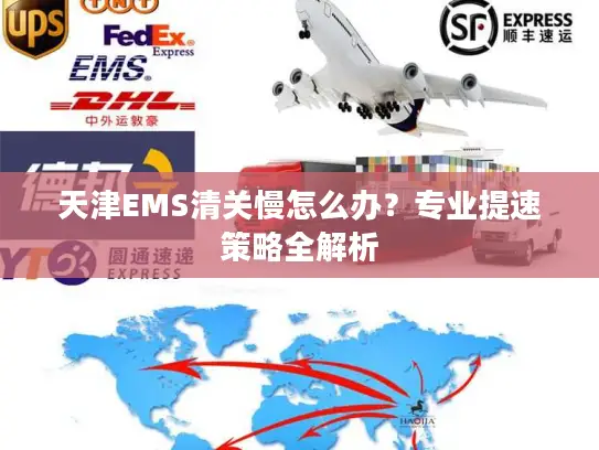 天津EMS清关慢怎么办？专业提速策略全解析