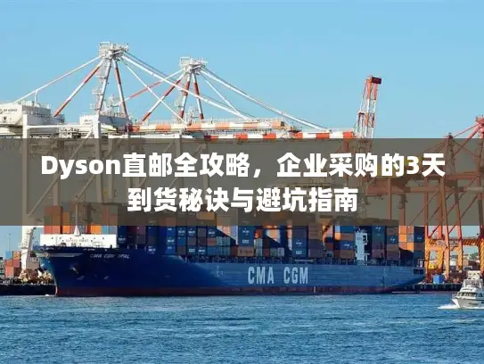 Dyson直邮全攻略，企业采购的3天到货秘诀与避坑指南