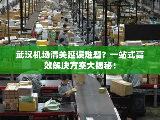 武汉机场清关延误难题？一站式高效解决方案大揭秘！