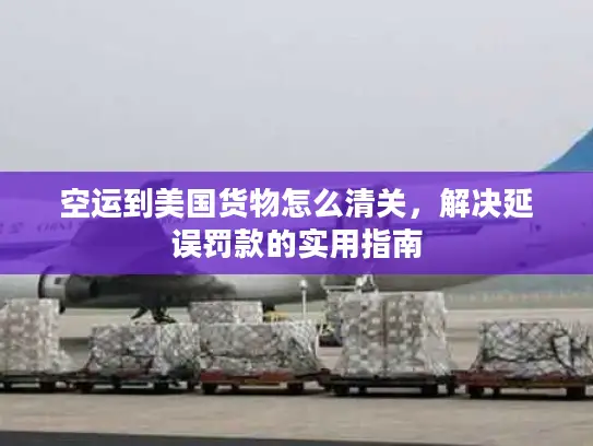 空运到美国货物怎么清关，解决延误罚款的实用指南