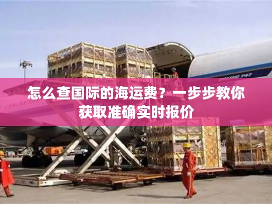 怎么查国际的海运费？一步步教你获取准确实时报价