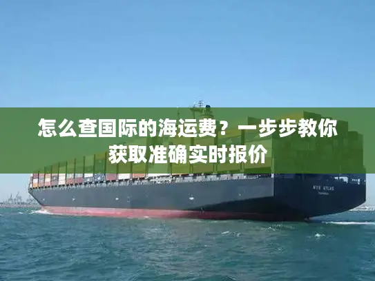 怎么查国际的海运费？一步步教你获取准确实时报价