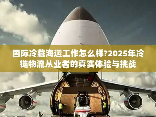 国际冷藏海运工作怎么样?2025年冷链物流从业者的真实体验与挑战