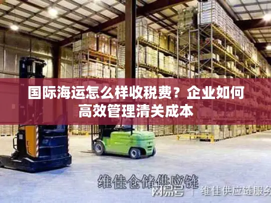 国际海运怎么样收税费？企业如何高效管理清关成本