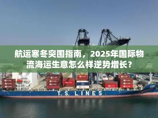 航运寒冬突围指南，2025年国际物流海运生意怎么样逆势增长？