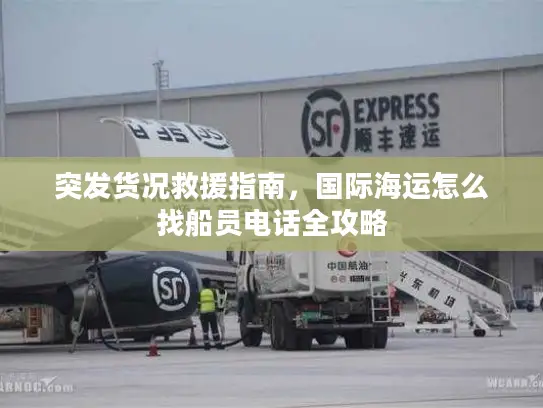 突发货况救援指南，国际海运怎么找船员电话全攻略