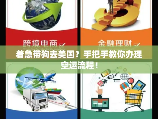 着急带狗去美国？手把手教你办理空运流程！