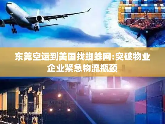 东莞空运到美国找蜘蛛网:突破物业企业紧急物流瓶颈