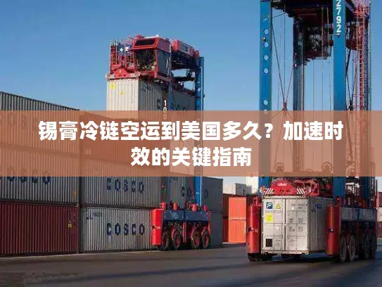 锡膏冷链空运到美国多久？加速时效的关键指南