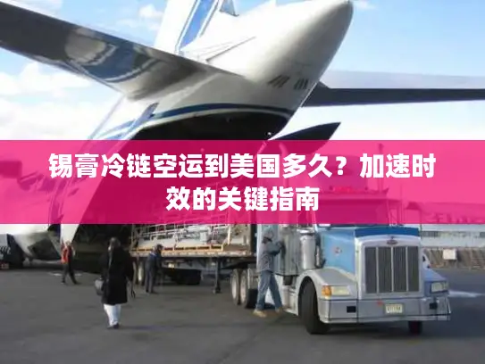 锡膏冷链空运到美国多久？加速时效的关键指南