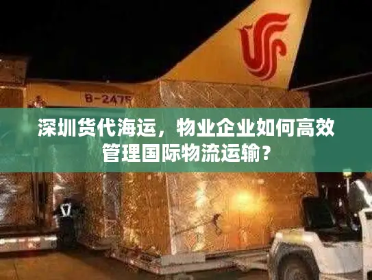 深圳货代海运，物业企业如何高效管理国际物流运输？