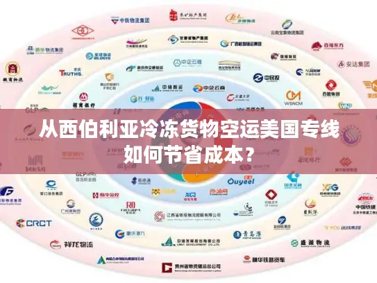 从西伯利亚冷冻货物空运美国专线如何节省成本？