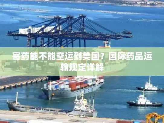 寄药能不能空运到美国?国际药品运输规定详解 寄药能不能空运到美国?国际药品运输规定详解
