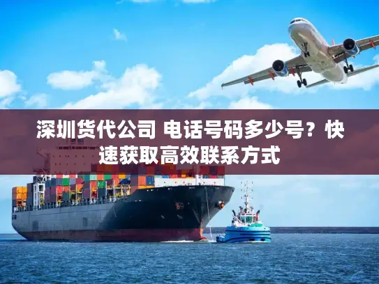 深圳货代公司 电话号码多少号？快速获取高效联系方式