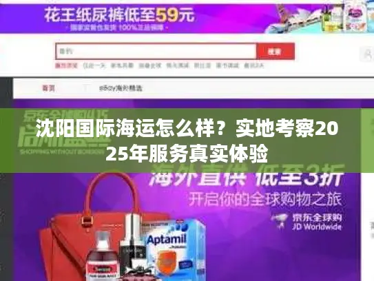 沈阳国际海运怎么样？实地考察2025年服务真实体验