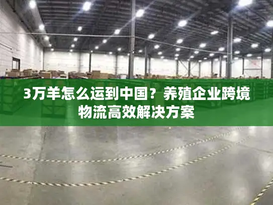 3万羊怎么运到中国？养殖企业跨境物流高效解决方案