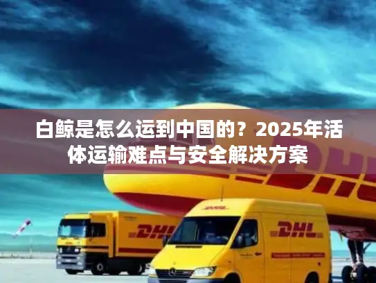 白鲸是怎么运到中国的？2025年活体运输难点与安全解决方案