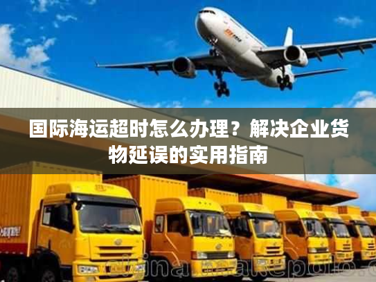 国际海运超时怎么办理？解决企业货物延误的实用指南