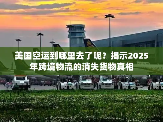 美国空运到哪里去了呢？揭示2025年跨境物流的消失货物真相