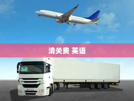 清关费 英语 清关费 英语