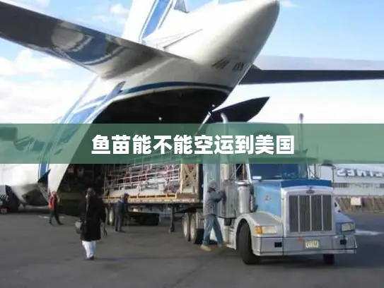 鱼苗能不能空运到美国