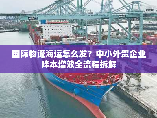 国际物流海运怎么发？中小外贸企业降本增效全流程拆解
