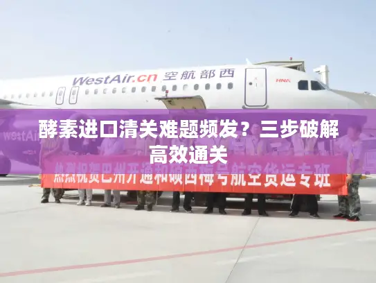 酵素进口清关难题频发？三步破解高效通关
