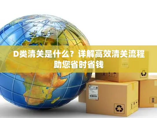 D类清关是什么？详解高效清关流程助您省时省钱