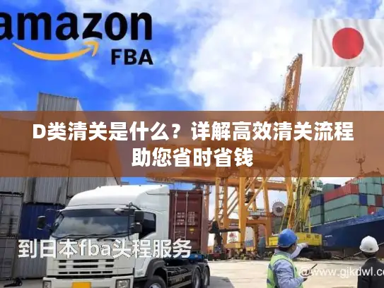 D类清关是什么？详解高效清关流程助您省时省钱