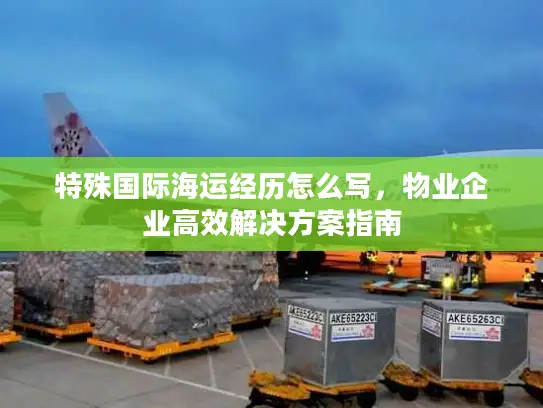 特殊国际海运经历怎么写，物业企业高效解决方案指南