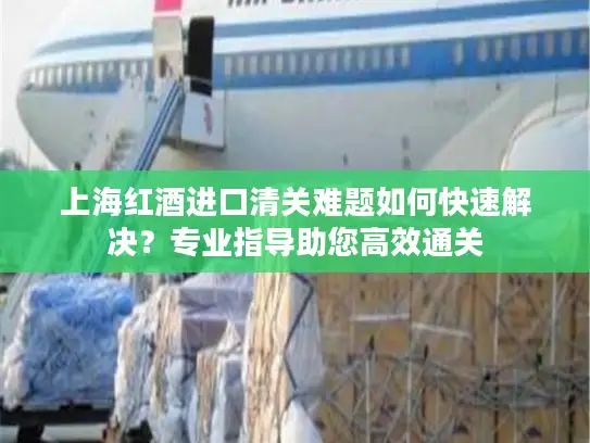 上海红酒进口清关难题如何快速解决？专业指导助您高效通关
