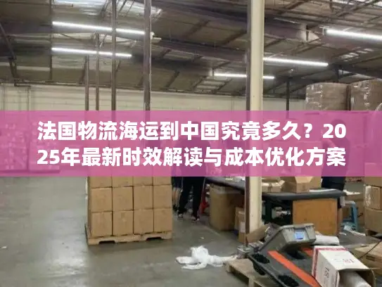 法国物流海运到中国究竟多久？2025年最新时效解读与成本优化方案