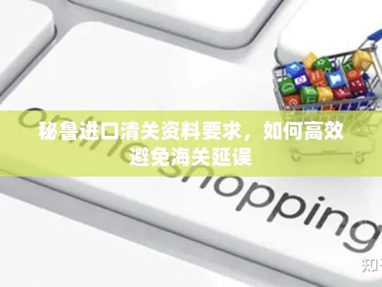 秘鲁进口清关资料要求，如何高效避免海关延误