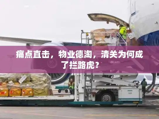 痛点直击，物业德淘，清关为何成了拦路虎？