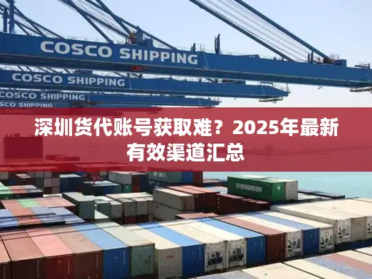 深圳货代账号获取难？2025年最新有效渠道汇总