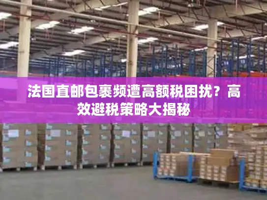 法国直邮包裹频遭高额税困扰？高效避税策略大揭秘