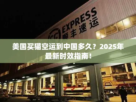 美国买猫空运到中国多久？2025年最新时效指南！