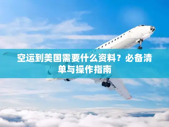 空运到美国需要什么资料？必备清单与操作指南