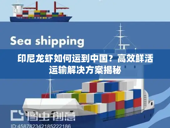 印尼龙虾如何运到中国？高效鲜活运输解决方案揭秘