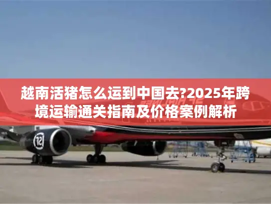 越南活猪怎么运到中国去?2025年跨境运输通关指南及价格案例解析