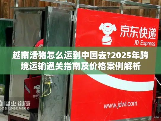越南活猪怎么运到中国去?2025年跨境运输通关指南及价格案例解析