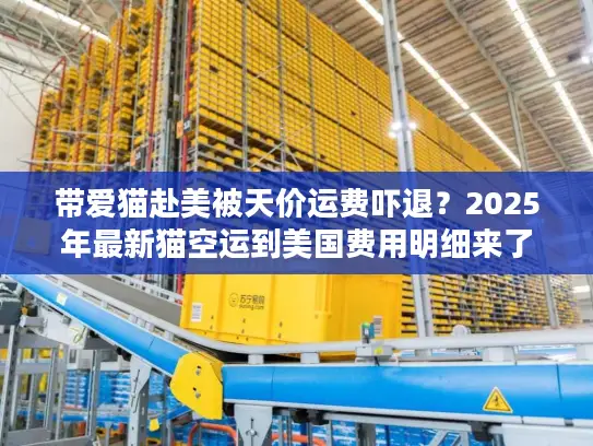 带爱猫赴美被天价运费吓退？2025年最新猫空运到美国费用明细来了