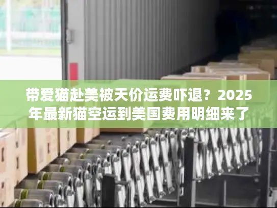 带爱猫赴美被天价运费吓退？2025年最新猫空运到美国费用明细来了