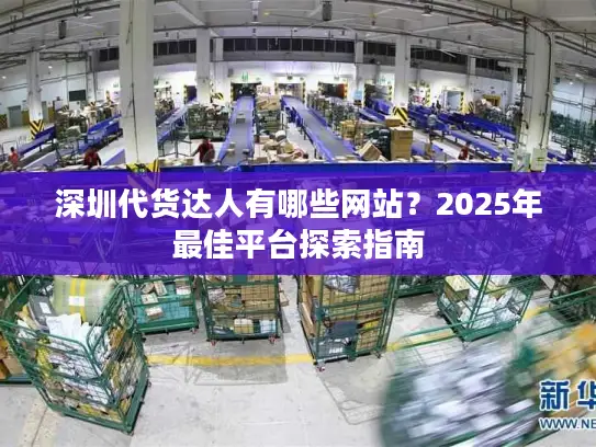 深圳代货达人有哪些网站？2025年最佳平台探索指南